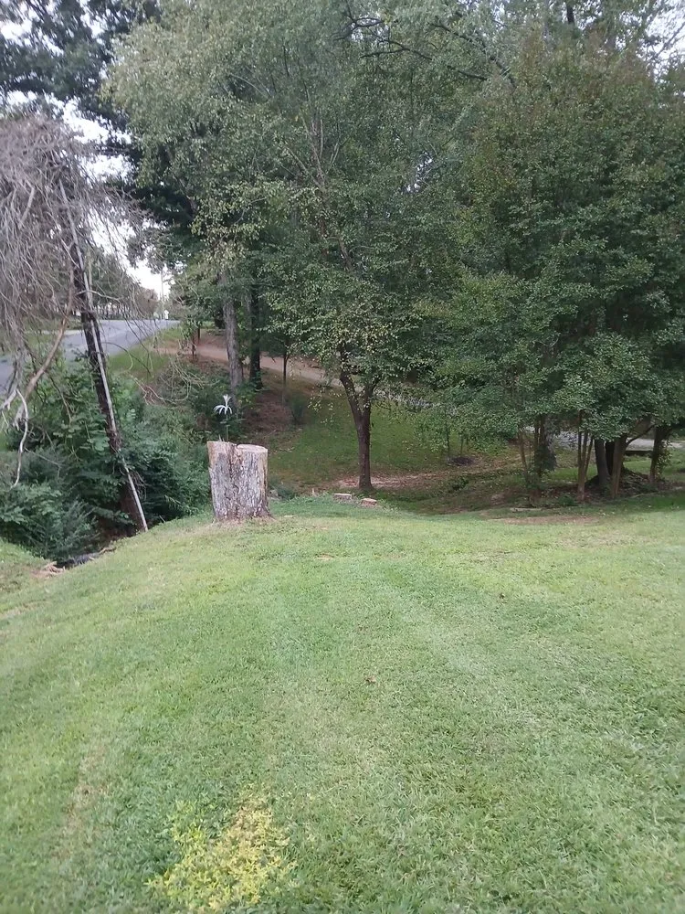 Top-rated landscape installation in Mooresville, NC - Real Services