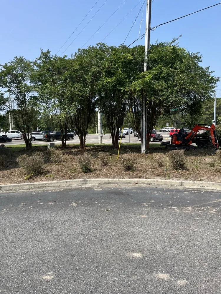 Local garden landscaping in Springfield, GA - Real Sharp Landscaping and Services