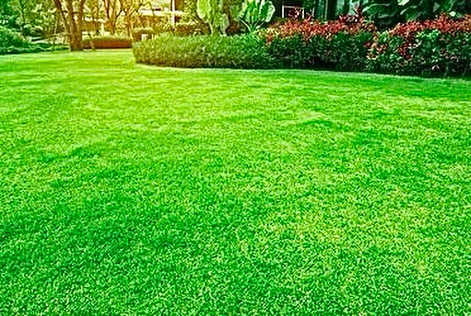 Reliable outdoor landscaping near you in Springfield, GA by Real Sharp Landscaping and Services