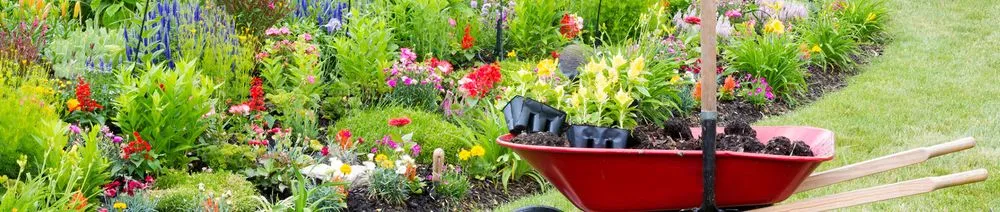 Professional garden landscaping in Monroe, NC - Real Solution Landscape