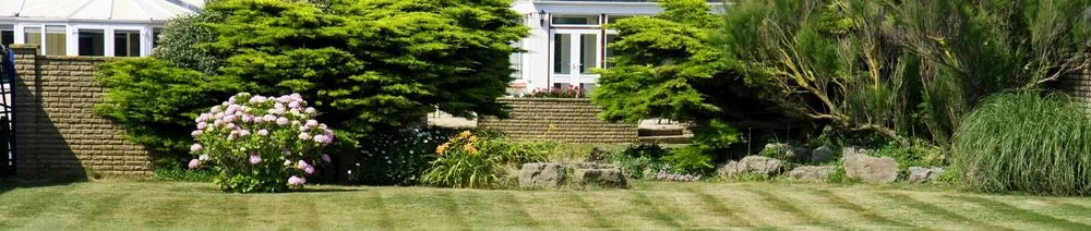 Trusted yard cleanup service experts serving Monroe, NC - Real Solution Landscape