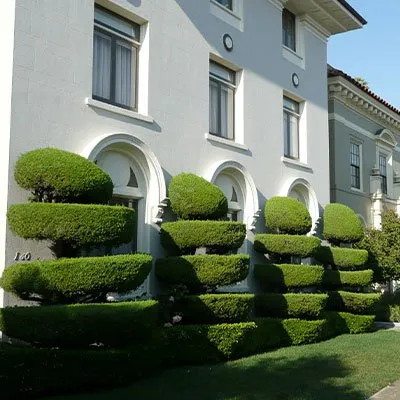 Trusted residential landscaping for residential properties across Monroe, NC - Real Solution Landscape