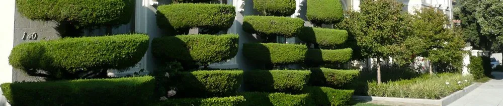 Professional landscaping services for residential properties in Monroe, NC by Real Solution Landscape