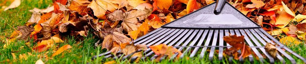 Custom garden landscaping in Monroe, NC by Real Solution Landscape