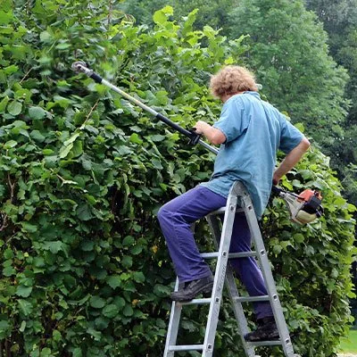 Expert lawn care service for homes in Monroe, NC by Real Solution Landscape