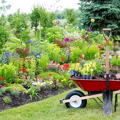 Affordable landscape design for homes in Monroe, NC by Real Solution Landscape