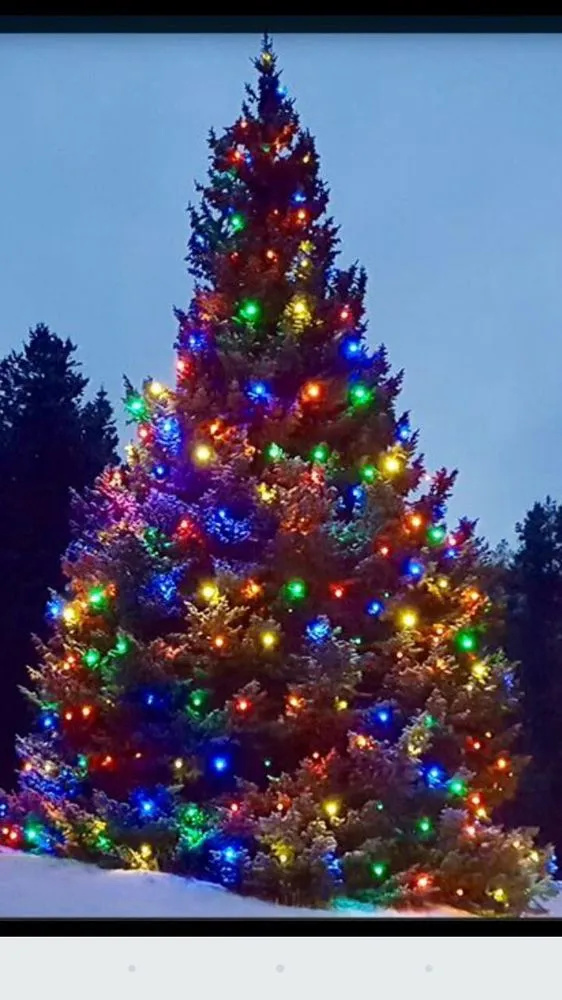 Professional garden landscaping for year-round maintenance in Colorado Springs, CO by Real Solutions Landscaping