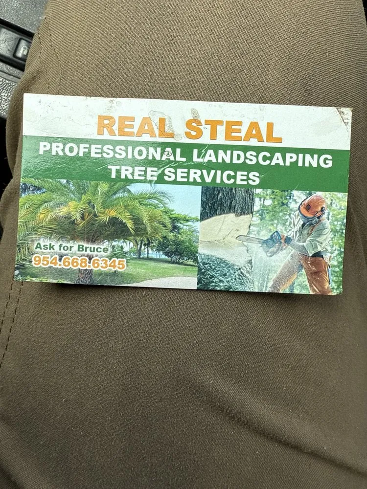 Top-rated lawn mowing service experts serving West Park, FL - Real Steal Landscaping Tree Service