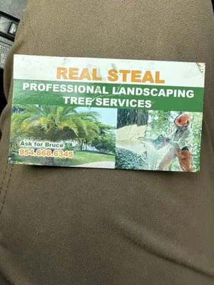 Real Steal Landscaping Tree Service