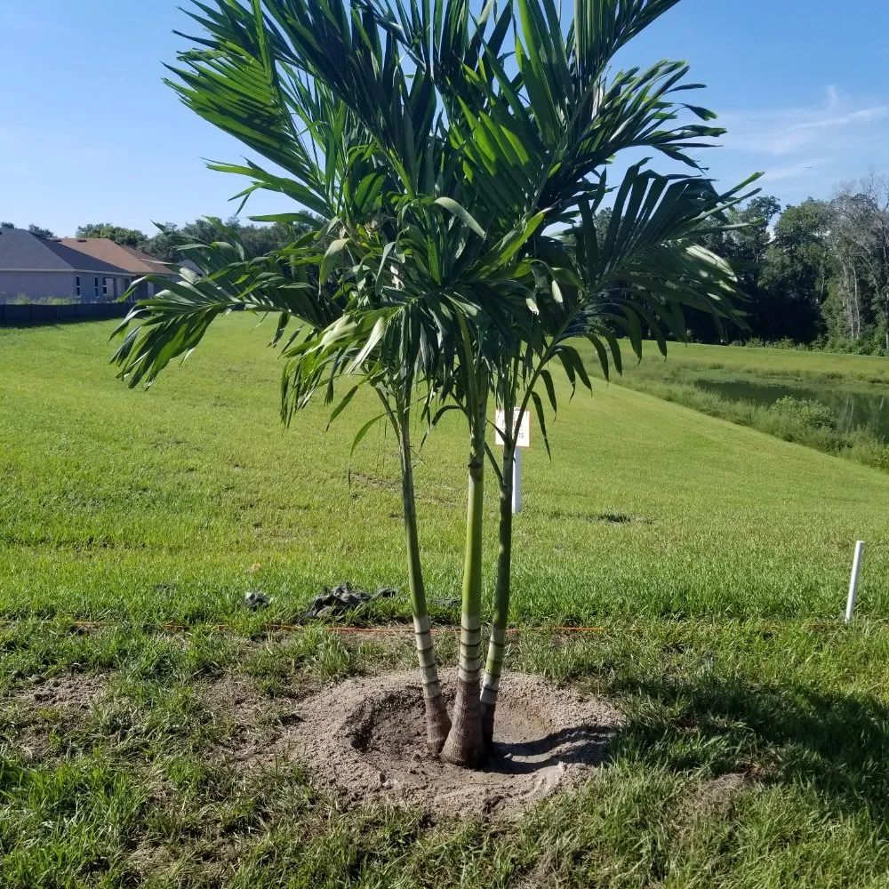 Professional residential landscaping for beautiful yards in Lakeland, FL by Real Touch Services