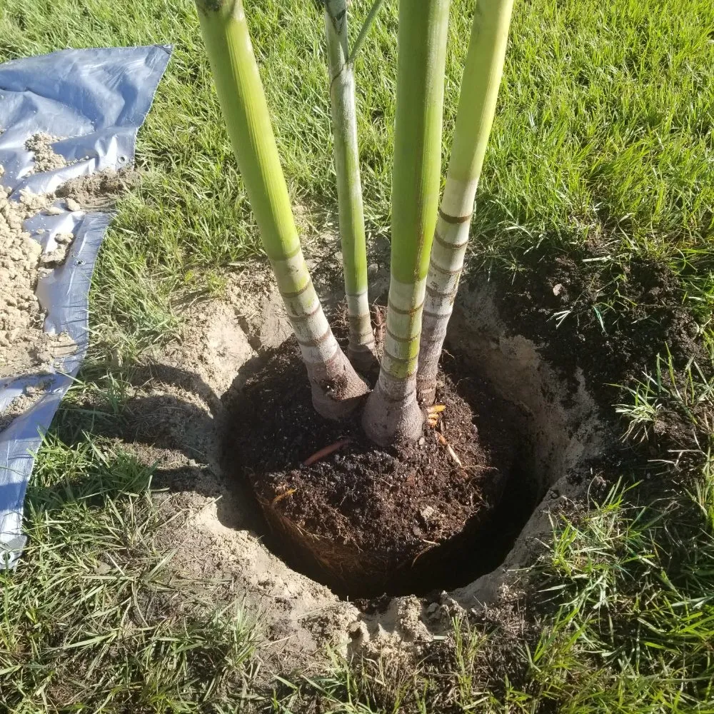 Trusted landscape installation in Lakeland, FL by Real Touch Services