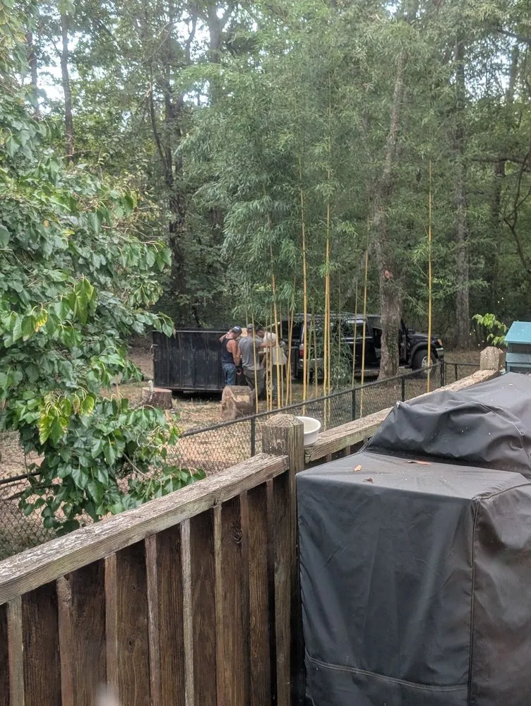 Trusted yard cleanup service for year-round maintenance in Huntsville, AL by Real Tree Guys