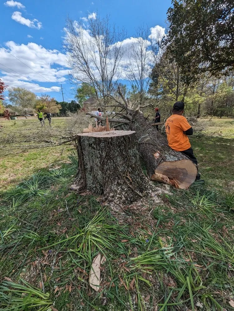 Custom lawn care service in Huntsville, AL by Real Tree Guys