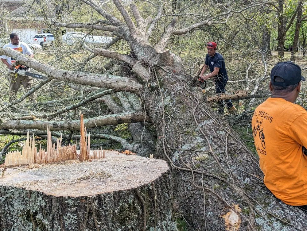 Affordable outdoor landscaping in Huntsville, AL by Real Tree Guys