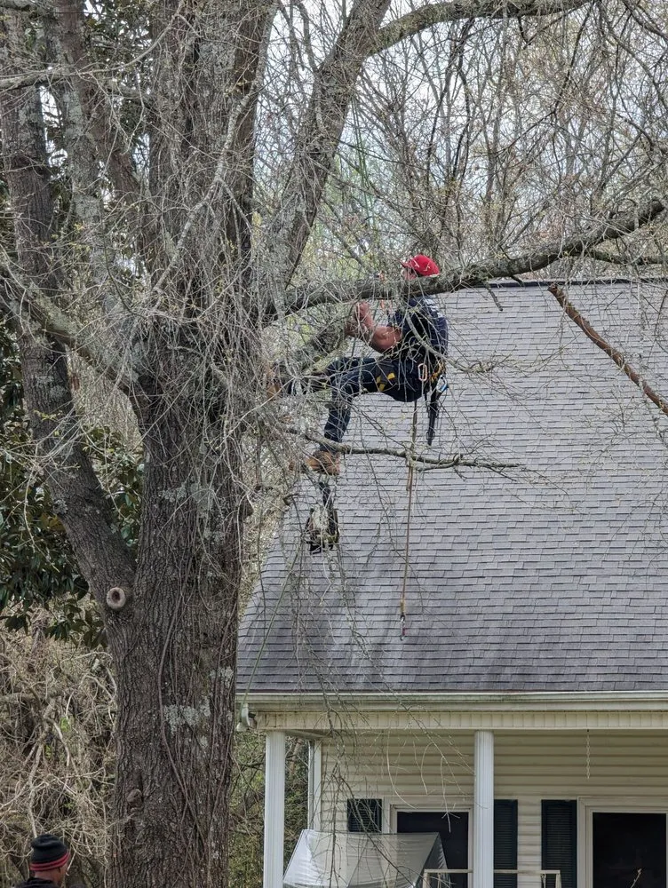 Custom yard cleanup service with custom design in Huntsville, AL by Real Tree Guys