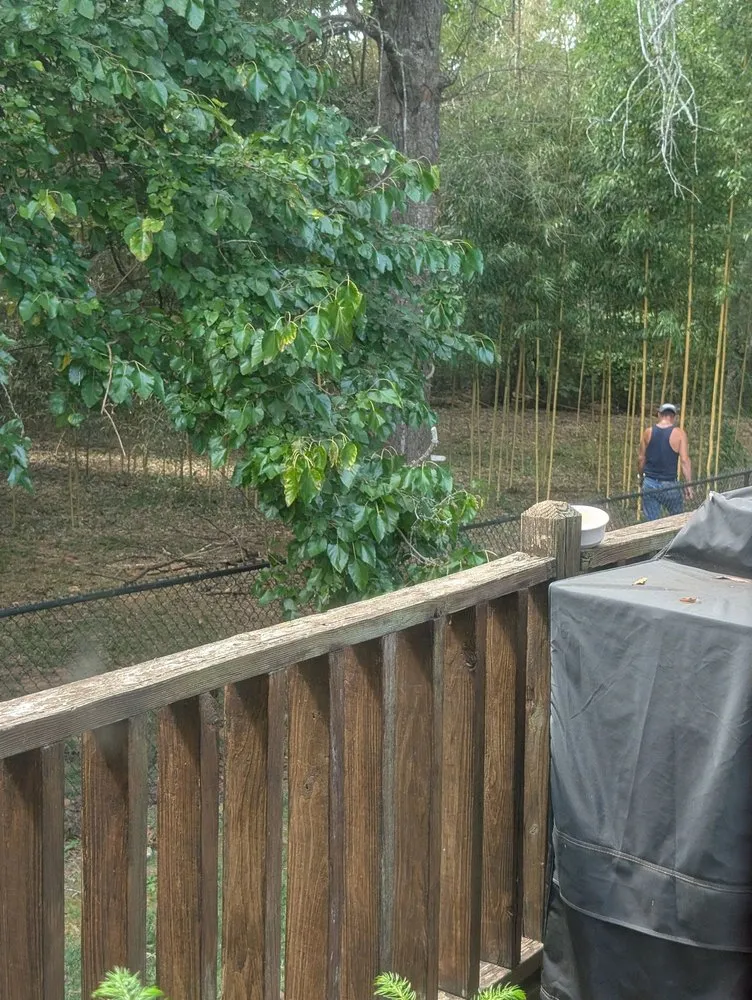 Reliable residential landscaping with custom design across Huntsville, AL - Real Tree Guys