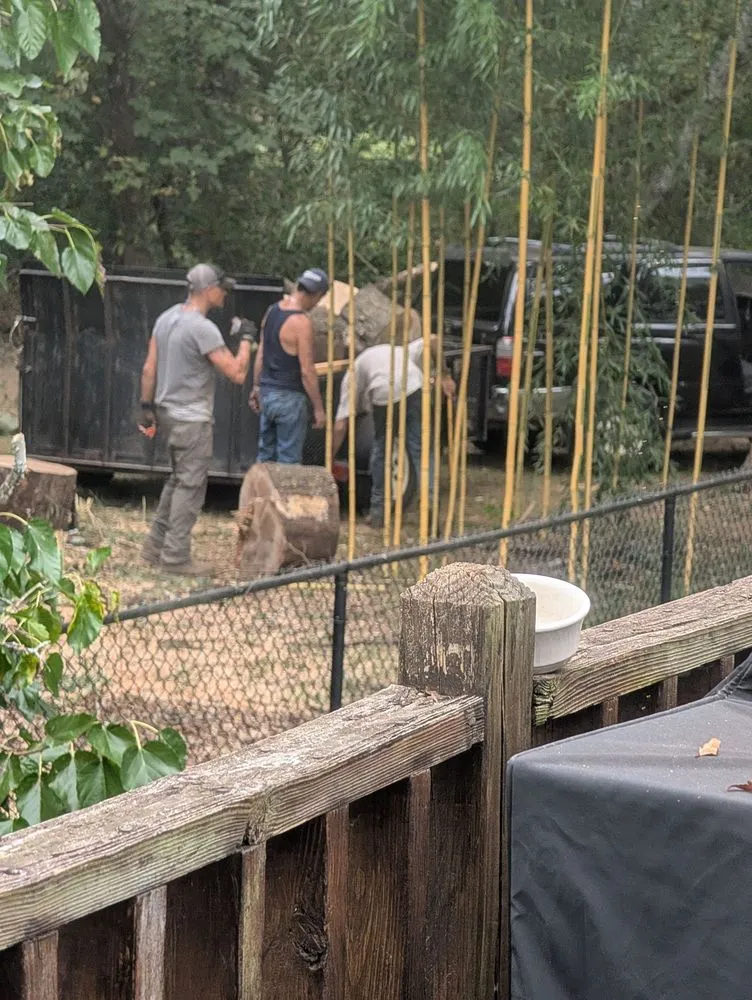 Top-rated lawn mowing service with custom design in Huntsville, AL by Real Tree Guys