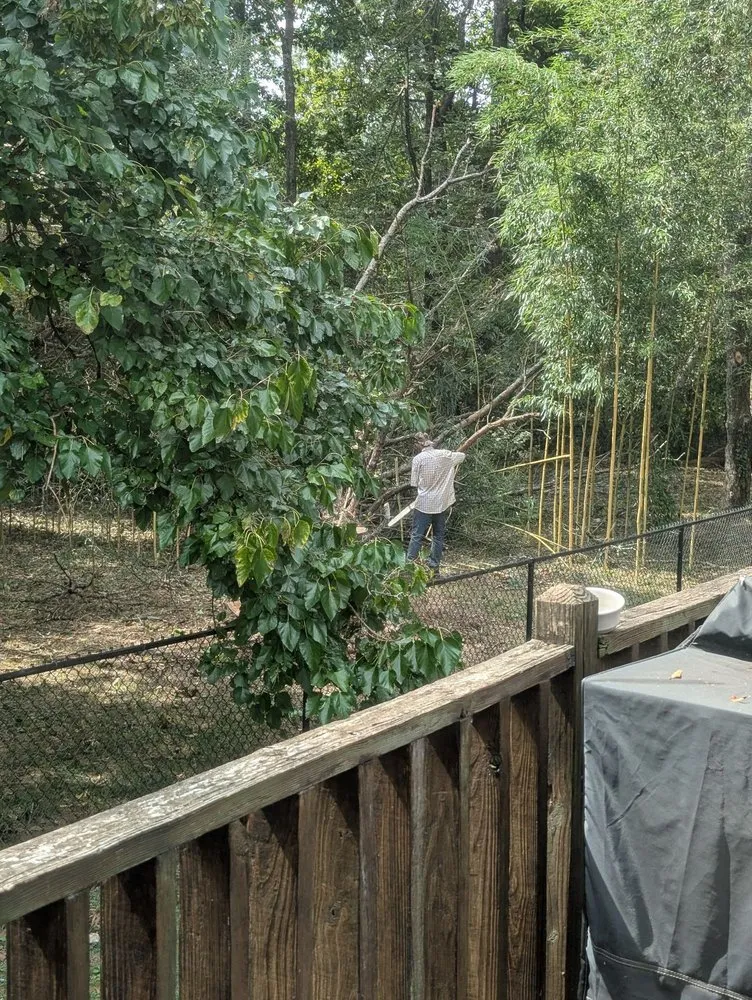 Professional landscape design for beautiful yards in Huntsville, AL by Real Tree Guys