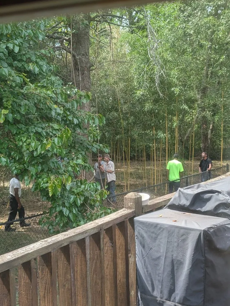 Top-rated lawn care service for outdoor upgrades in Huntsville, AL by Real Tree Guys