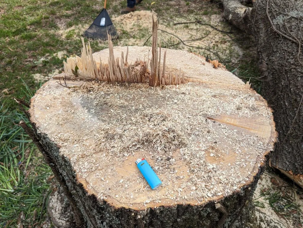 Top-rated lawn mowing service in Huntsville, AL by Real Tree Guys