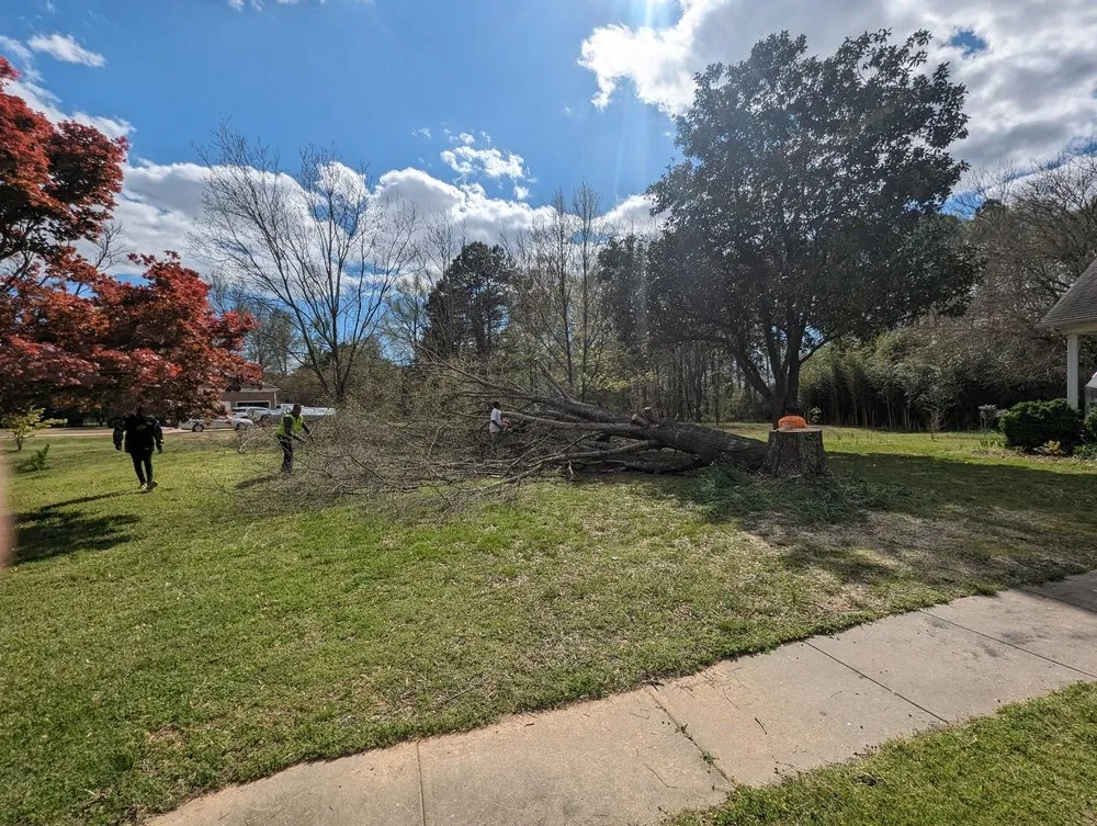 Local landscaping services in Huntsville, AL - Real Tree Guys