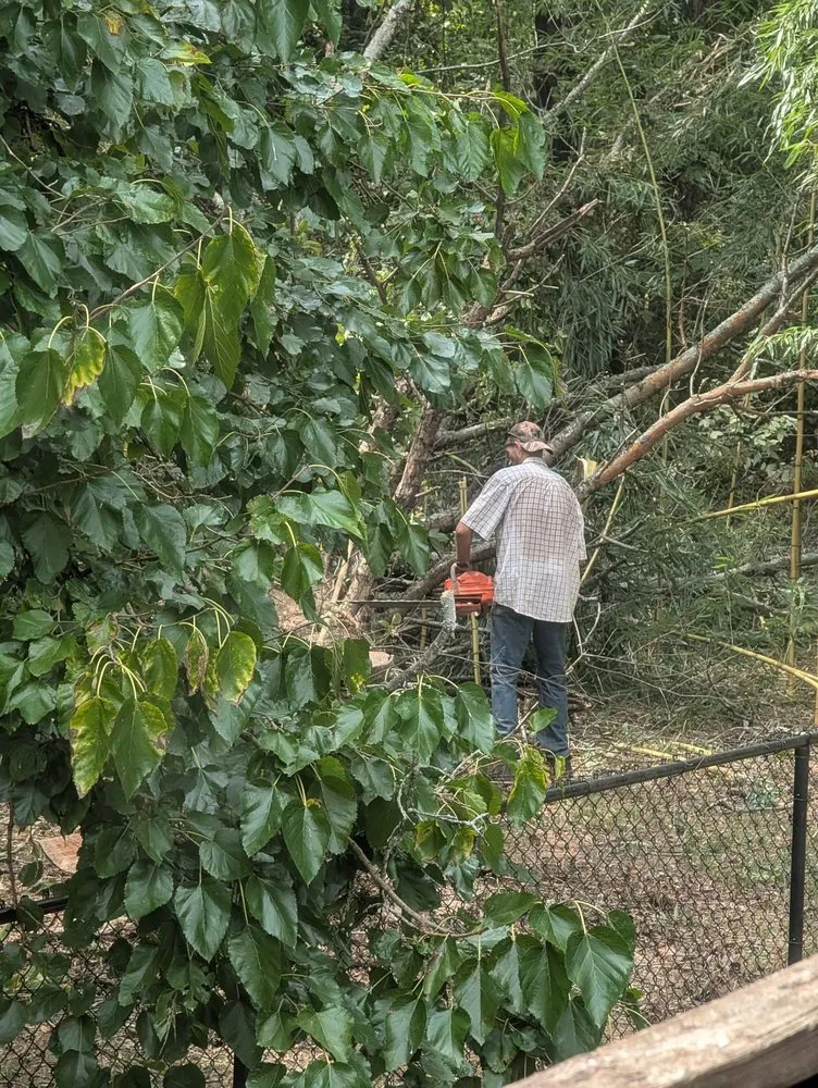 Expert lawn mowing service for year-round maintenance across Huntsville, AL - Real Tree Guys