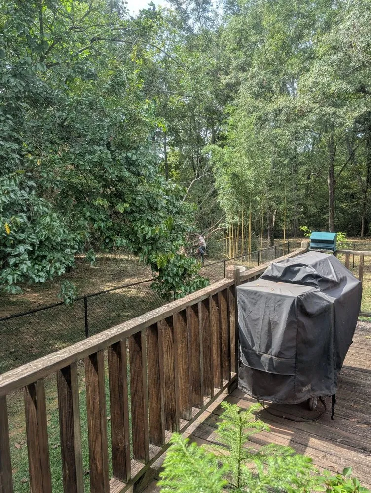 Custom residential landscaping for outdoor upgrades in Huntsville, AL by Real Tree Guys