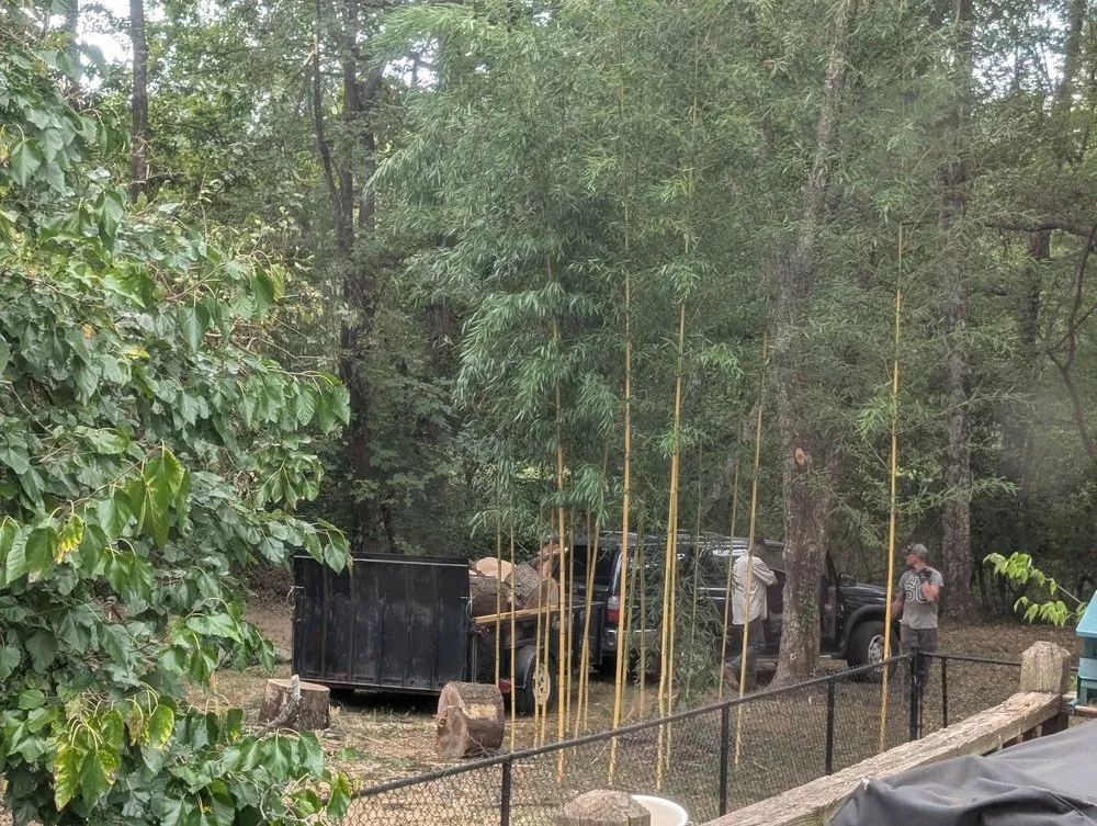 Custom lawn care service near you in Huntsville, AL by Real Tree Guys