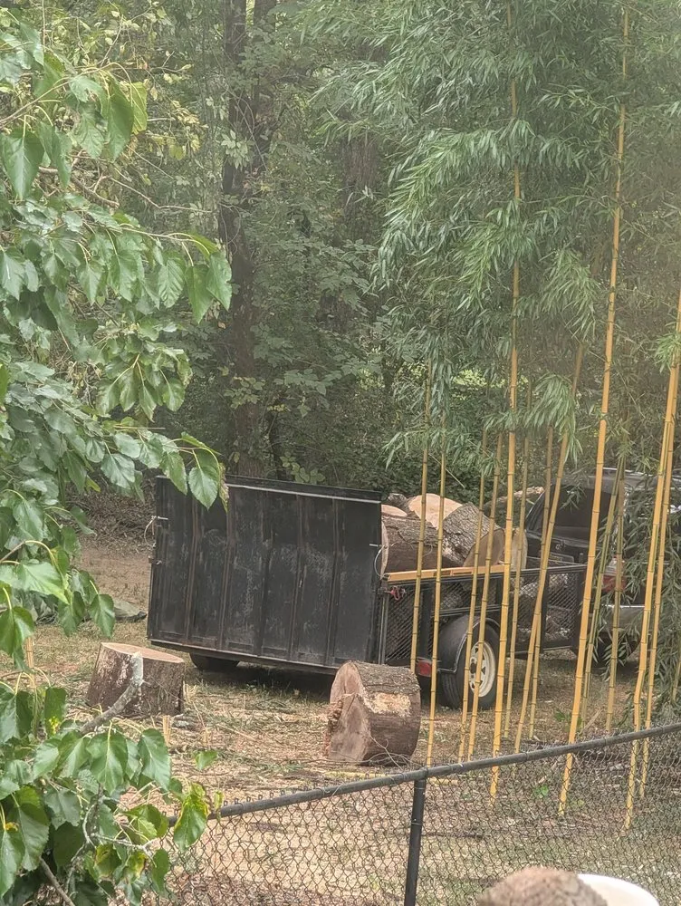 Custom landscaping services for residential properties across Huntsville, AL - Real Tree Guys