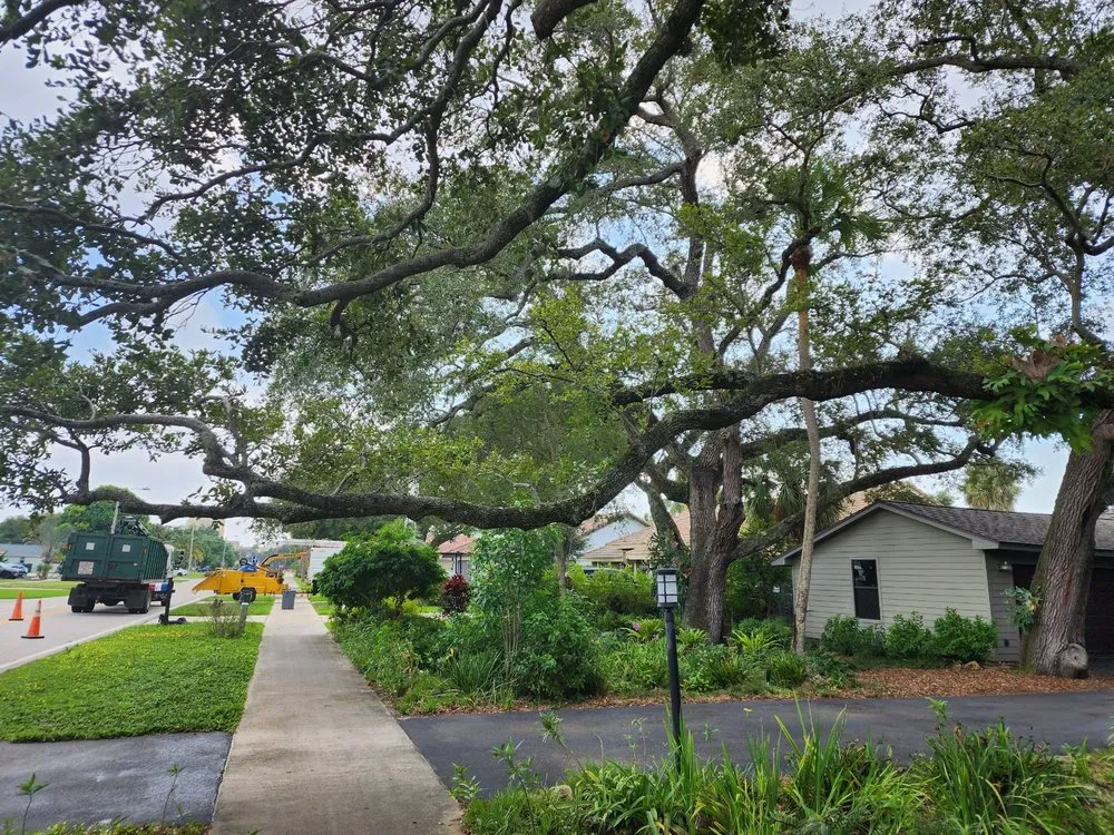 Top-rated lawn care service for residential properties in Palm Beach, FL by Real Tree Team