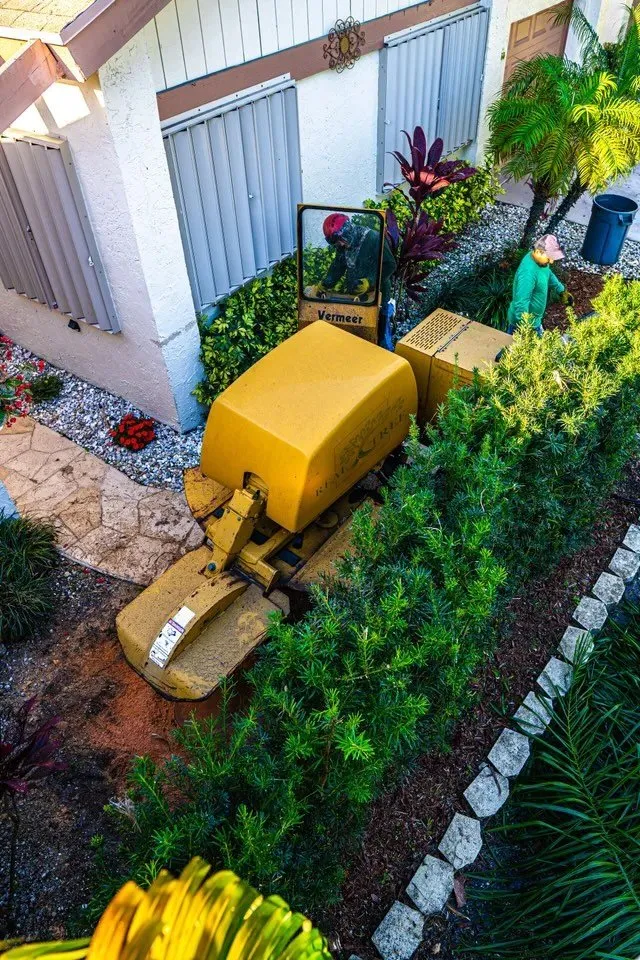 Expert residential landscaping near you in Palm Beach, FL by Real Tree Team