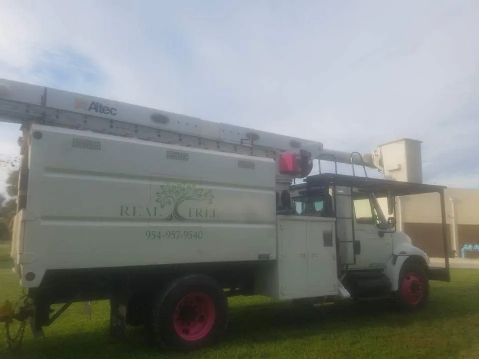 Expert lawn mowing service in Parkland, FL by Real Tree Trimming & LDSCPG