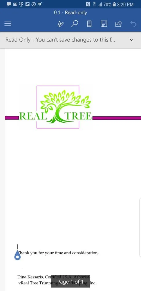 Reliable outdoor landscaping in Parkland, FL - Real Tree Trimming & LDSCPG