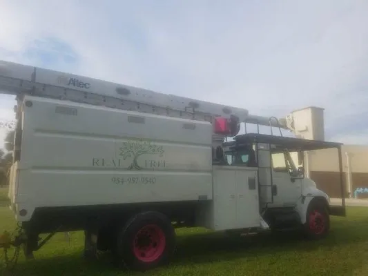 Real Tree Trimming & LDSCPG Logo