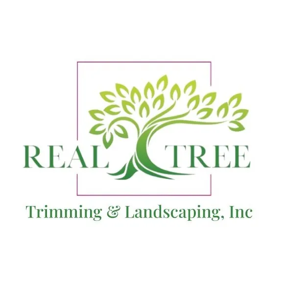 Local landscape design near you in Pompano Beach, FL by Real Tree Trimming and Landscaping
