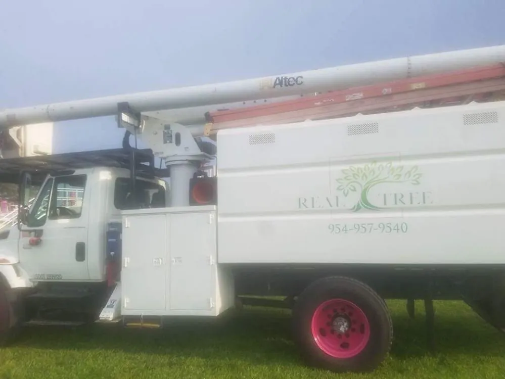 Affordable landscape design in Pompano Beach, FL - Real Tree Trimming and Landscaping