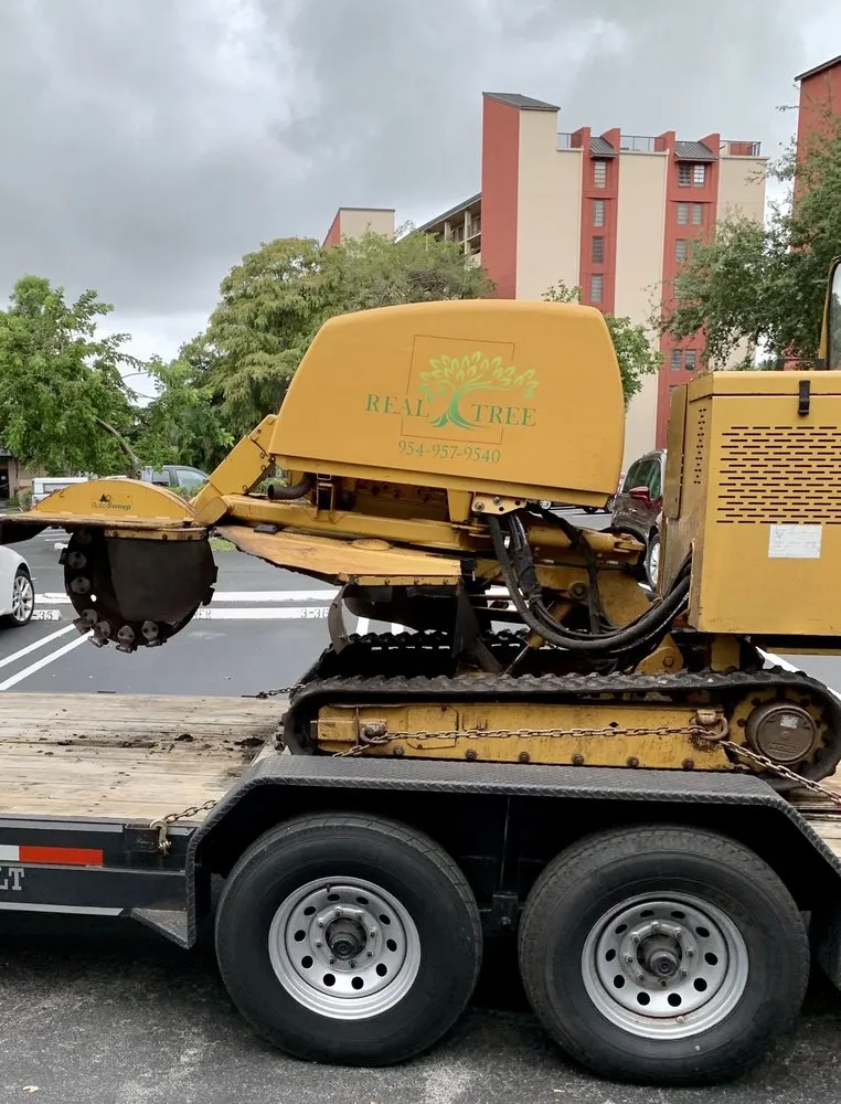Reliable lawn care service in Pompano Beach, FL - Real Tree Trimming and Landscaping