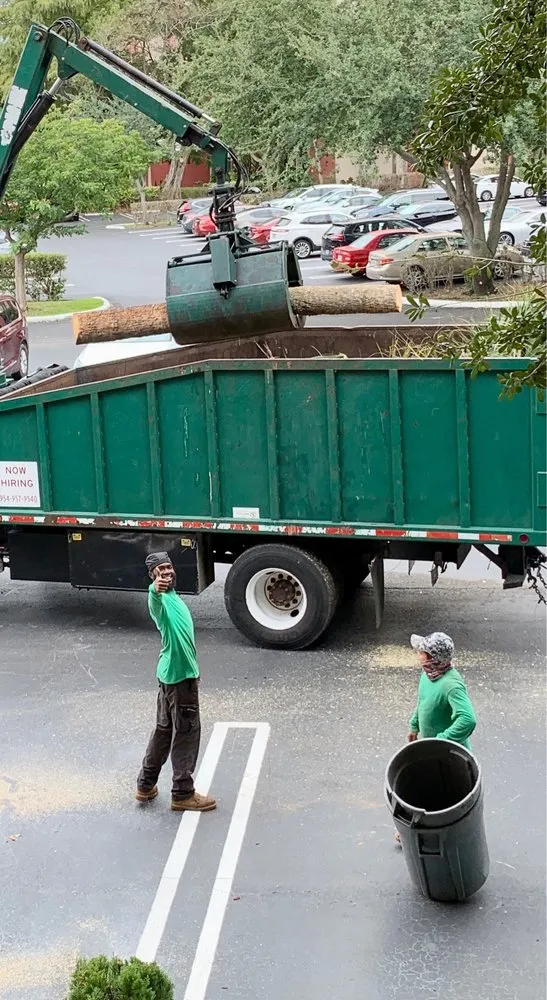 Custom landscape installation in Pompano Beach, FL - Real Tree Trimming and Landscaping