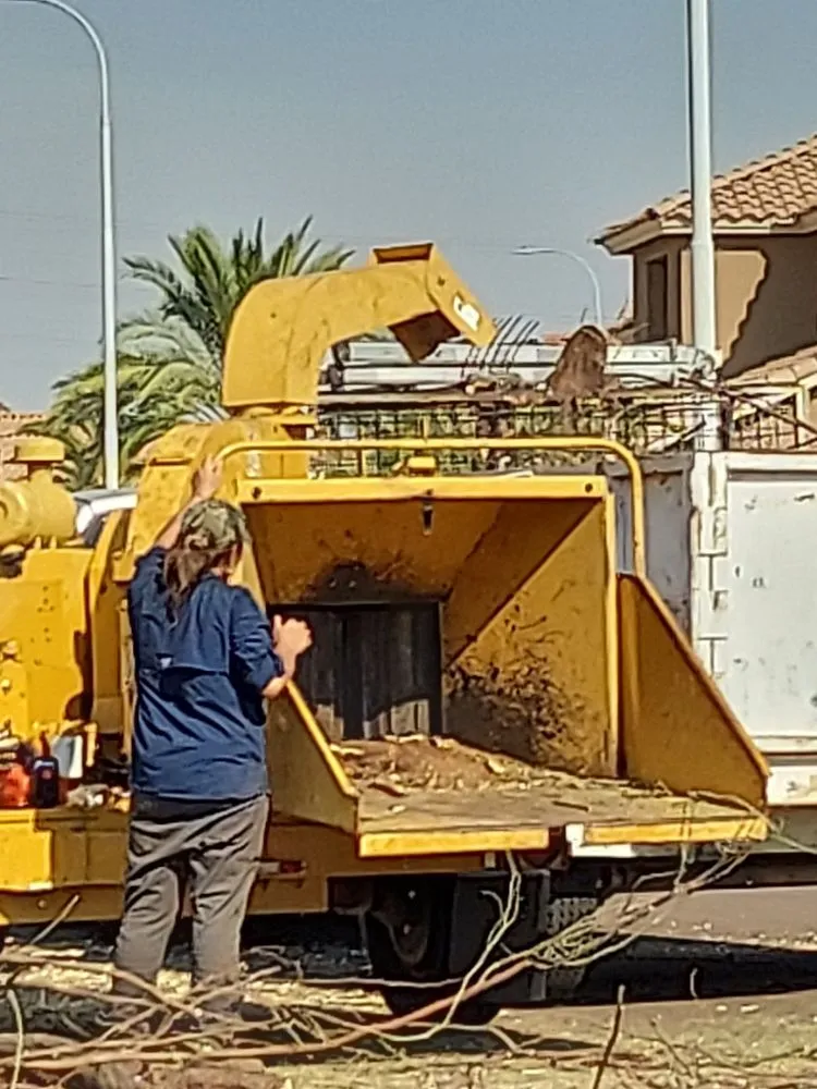 Trusted landscape design for homes in Maricopa, AZ by Real Trees And Landscaping