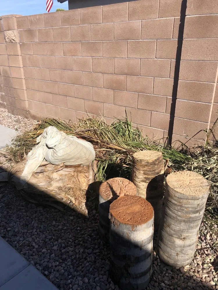 Top-rated yard cleanup service in Maricopa, AZ - Real Trees And Landscaping