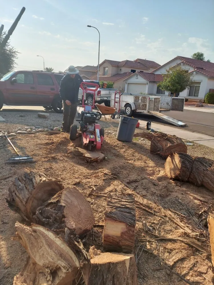 Custom garden landscaping experts serving Maricopa, AZ - Real Trees And Landscaping