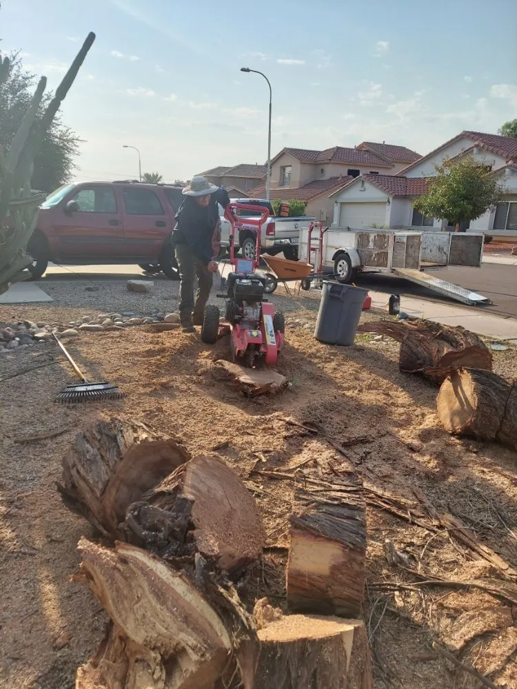 Professional lawn care service for residential properties in Maricopa, AZ by Real Trees And Landscaping