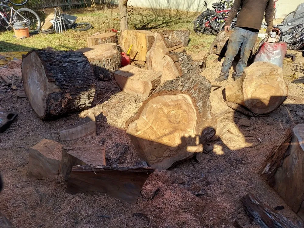 Custom landscape installation experts serving Maricopa, AZ - Real Trees And Landscaping