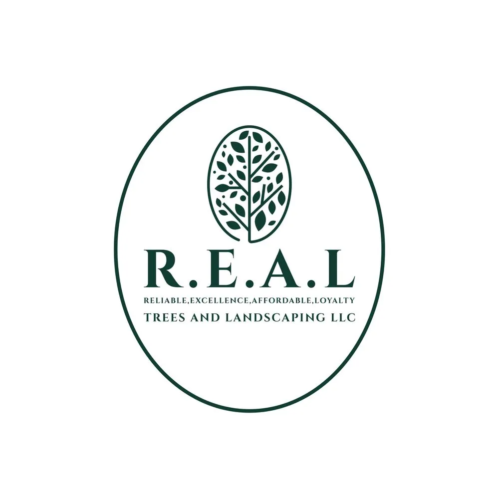 Trusted lawn care service in Maricopa, AZ by Real Trees And Landscaping