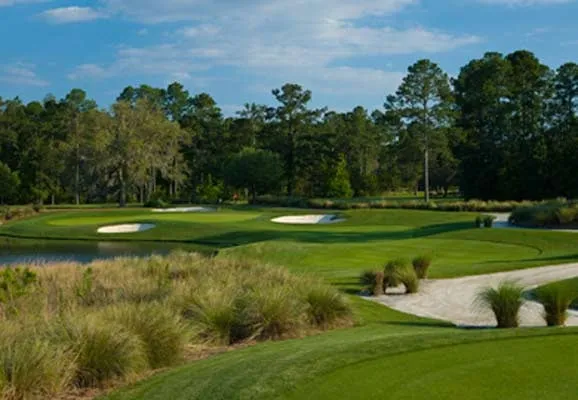 Reliable landscape installation experts serving Fort Valley, GA - Real Turf Solutions