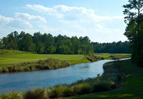 Affordable landscape design near you across Fort Valley, GA - Real Turf Solutions