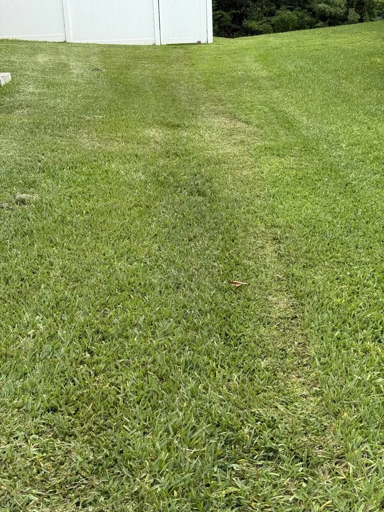 Reliable lawn care service for outdoor upgrades in Valrico, FL by Real Turf Solutions