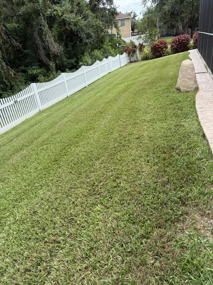 Local landscape design experts serving Valrico, FL - Real Turf Solutions