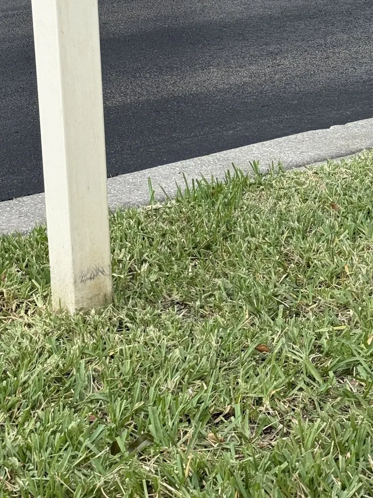 Expert landscape installation for beautiful yards in Valrico, FL by Real Turf Solutions