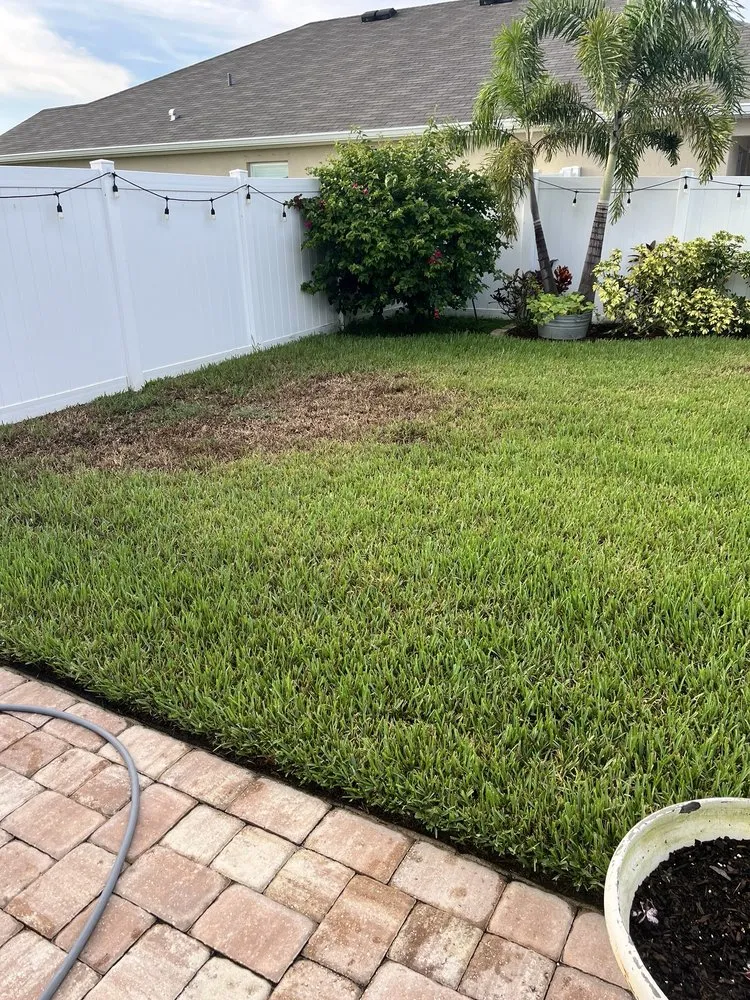 Top-rated lawn mowing service with custom design across Valrico, FL - Real Turf Solutions